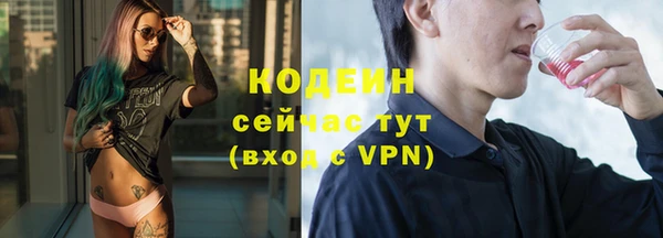 шишки Слюдянка