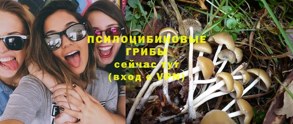 ешки Снежногорск