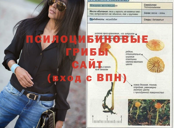 тгк Семёнов